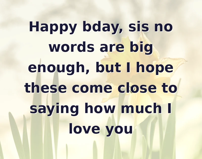 Happy bday, sis no words are big enough, but I hope these come close to saying how much I love you