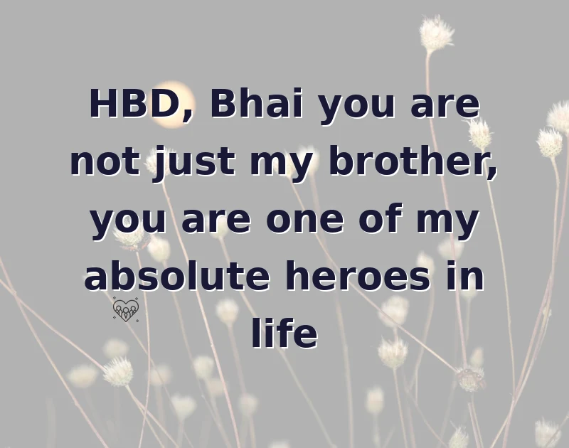 HBD, Bhai you are not just my brother, you are one of my absolute heroes in life
