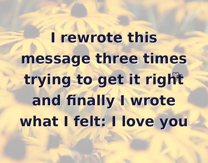 I rewrote this message three times trying to get it right and finally I wrote what I felt: I love you